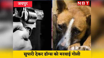 शूटर को सुपारी देकर 4 कुत्तों को मरवा दी गोली, राजस्थान की इस घटना को जान हर कोई दंग, पशुप्रेमी नाराज