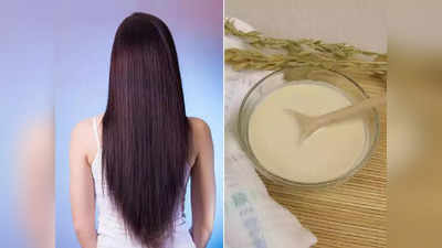 <strong>5 Hair Mask : </strong>केस स्वस्तात करून हवेत एकदम स्ट्रेट, मऊशार व चमकदार? मग घरच्या घरी करायला घ्या ‘ही’ 5 कामे..!