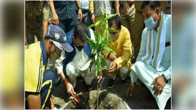 Banda news: 5 साल में रोप दिए 10 करोड़ पौधे, फिर भी नहीं आई हरियाली... चित्रकूट मंडल का हाल जानिए