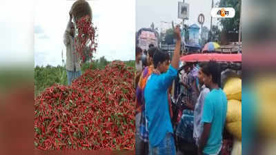 South Dinajpur: বন্ধ পণ্যবাহী গাড়ি চলাচল, ক্ষতির আশঙ্কায় পথ অবরোধ লঙ্কা চাষিদের