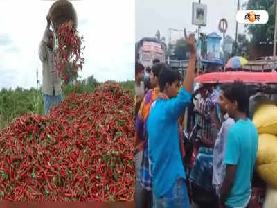 South Dinajpur: বন্ধ পণ্যবাহী গাড়ি চলাচল, ক্ষতির আশঙ্কায় পথ অবরোধ লঙ্কা চাষিদের