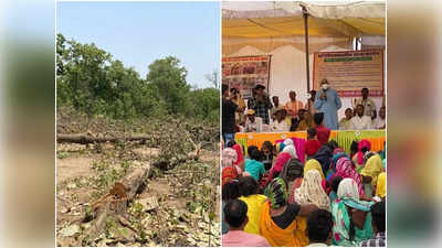 Hasdeo Ground Report: हसदेव के जंगलों में पेड़ों की कटाई का क्यों हो रहा विरोध, सियासी बयानबाजी के बीच प्रोपगेंडा में तो नहीं उलझा मामला