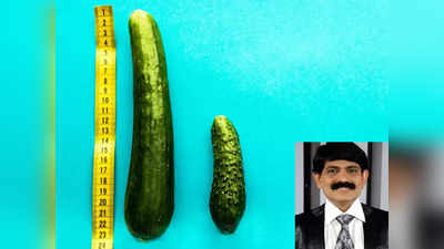 penis size: கல்யாண மாப்பிள்ளையான எனது ஆண் உறுப்பு 1 இன்ச் தான் உள்ளது.. உறவில் சிக்கல் உண்டாகுமா டாக்டர்!