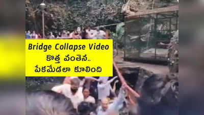 Bridge Collapse Video: కొత్త వంతెన.. పేకమేడలా కూలింది