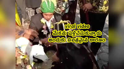 viral video: మేకను పెళ్లిచేసుకున్నాడు.. అందుకు విచిత్రమైన కారణం