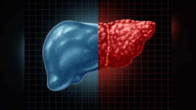 liver diseases: கல்லீரல் புற்றுநோய், கல்லீரல் அழற்சி வராமல் தடுக்கும் தக்காளி... எப்படி - புதிய ஆய்வு தகவல்