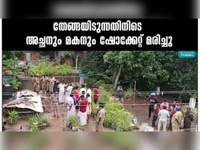 തേങ്ങയിടുന്നതിനിടെ അച്ഛനും മകനും ഷോക്കേറ്റ് മരിച്ചു