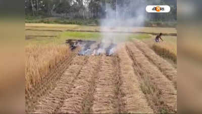 Bankura News: ভালো হয়নি ফলন, রাগে ধানের জমিতে আগুন ধরালেন কৃষকরা!