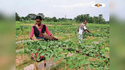 HS Result 2022: বাবার কষ্ট লাঘবে শিক্ষকতা করার ইচ্ছা প্রিয়াঙ্কা আদকের