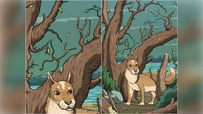 Optical Illusion: इस फोटो में कुत्ता तो सबको दिख रहा है, अगर बिल्ली ढूंढ ली तो चीते हो आप!
