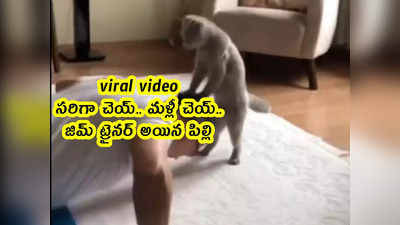 viral video: సరిగా చెయ్.. మళ్లీ చెయ్.. జిమ్ ట్రైనర్ అయిన పిల్లి 