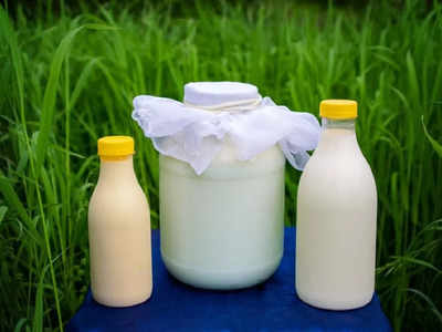 Milk Price: ফের দুধ সহ একাধিক জিনিসের দাম বৃদ্ধির আশঙ্কা! কতটা বাড়বে খরচ?