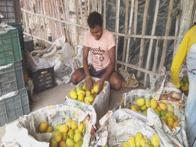 Mango Festival: বিশেষ উৎসবে যোগ দিতে রাজধানী পাড়ি  দিচ্ছে Malda-র আম