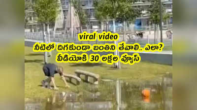 viral video: నీటిలో దిగకుండా బంతిని తేవాలి.. ఎలా.. ఇలా.. 30 లక్షల వ్యూస్