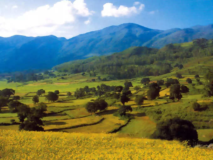 ​ಅರಕು ವ್ಯಾಲಿ