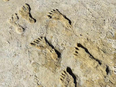 Ice Age Human Footprints: 23000 साल पहले भी अमेरिका में रहते थे इंसान, न्यू मैक्सिको में मिले हिमयुग के पैरों के निशान से खुलासा