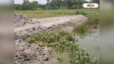 Baruipur: রাতের অন্ধকারে চলছে পুকুর ভরাট! অভিযুক্ত শাসকদল