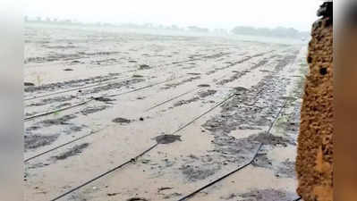 ગુજરાતમાં આગામી પાંચ દિવસ વરસાદની આગાહી, સૌરાષ્ટ્ર અને દ. ગુજરાતના ખેડૂતો ખુશ