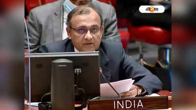Bengal in UN Resolution: রাষ্ট্রপুঞ্জে বহুভাষাবাদের প্রশ্নে বড় স্বীকৃতি পেল ভারত, ঘোষণা-বিবৃতি এবার হিন্দি-বাংলা-উর্দুতেও
