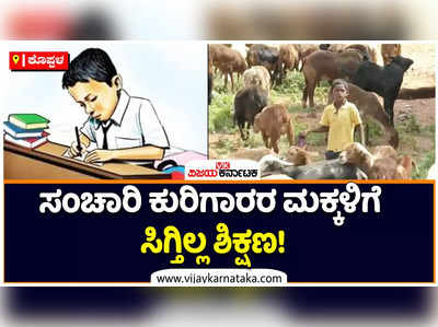 ಸಂಚಾರಿ ಕುರಿಗಾಹಿಗಳ ಮಕ್ಕಳಿಗೆ ಸಿಗ್ತಿಲ್ಲ ಶಿಕ್ಷಣ! ಅಲೆಮಾರಿ ವೃತ್ತಿಯಿಂದ ಶಿಕ್ಷಣದಿಂದ ವಂಚಿತರಾಗುತ್ತಿರುವ ಮಕ್ಕಳು