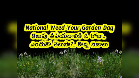 National Weed Your Garden Day: కలుపు తీసేయడానికి ఓ రోజు.. ఎందుకో తెలుసా? 