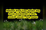 National Weed Your Garden Day: కలుపు తీసేయడానికి ఓ రోజు.. ఎందుకో తెలుసా?