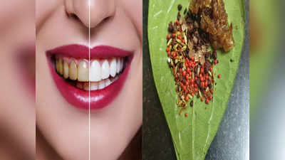 Bad breath remedies: Ayurveda डॉक्टर ने बताई 5 चीजें, मुंह से कभी नहीं आएगी बदबू, पीले दांत भी होंगे सफेद