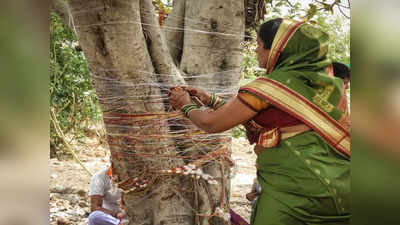 Vat Purnima Vrat 2022 वट पौर्णिमा विशेष : जाणून घेऊया महिला वटवृक्षाला सूत का गुंडाळतात