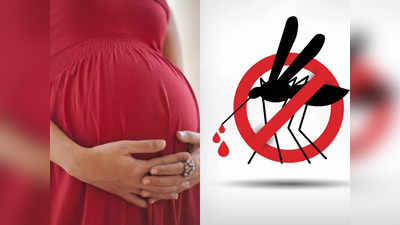 Dengue Scare : गरोदर महिलांना डेंग्यूची लागण झाल्यास काय कराल? लक्षणे, उपाय आणि संपूर्ण गाइड लाइन