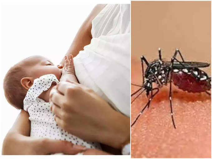 ​स्तनपान करणाऱ्या मांतावर डेंग्यूचा काय परिणाम होतो?