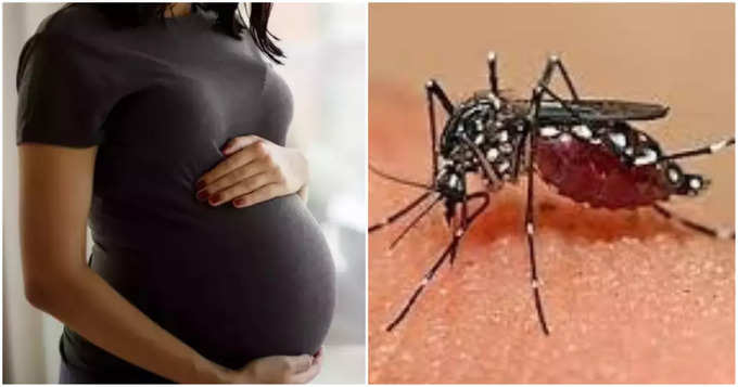 ​गर्भवती महिलेने डेंग्यूचे कोणते उपचार घ्यावेत