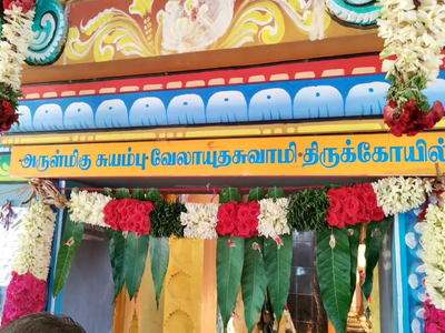 வேலாயுதசாமி கோயில் வைகாசி விசாக திருவிழா; பக்தர்களுக்கு செம சர்ப்ரைஸ்!