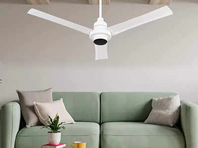 लिविंग रूम के लिए बेस्ट हैं ये 5 Ceiling Fan, स्टाइलिश होने के साथ ही देंगे जबरदस्त हवा
