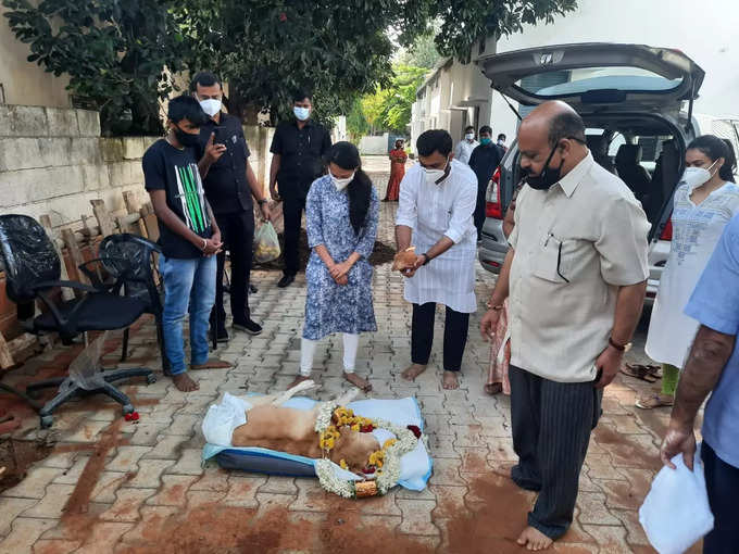 ಬೊಮ್ಮಾಯಿ ಅವರ ಸಾಕು ನಾಯಿ ಸನ್ನಿ ಸಾವನ್ನಪ್ಪಿದ ಸಂದರ್ಭ