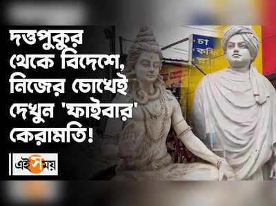 দত্তপুকুর থেকে বিদেশে, নিজের চোখেই দেখুন ফাইবার কেরামতি!