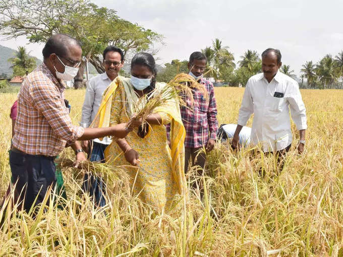 வேலைவாய்ப்பு உருவாக்கிய ஆட்சியர்