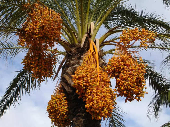 ​ಉದಾತ್ತತೆ ಇರಬೇಕು