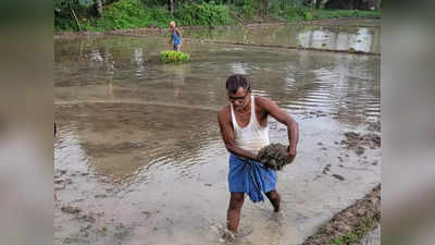 Bihar Monsoon Update : बारिश के बादशाह की बिहार में एंट्री हो गई, पढ़िए... आपके जिले में कब बरसेगा मॉनसून