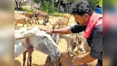 मोठ्या पगाराच्या नोकरीवर पाणी सोडले; अन् गाढवं पाळली, पहिलीच ऑर्डर मिळाली १७ लाखांची