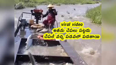 viral video: అతను చేపలు పట్టడు.. చేపలే వచ్చి పడవలో పడతాయి 