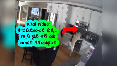 viral video: కొంపముంచిన కుక్క.. గ్యాస్ స్టవ్ ఆన్ చేసి.. ఇంటిని తగలబెట్టింది