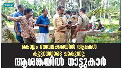 കൊല്ലം തേവലക്കരയിൽ ആമകൾ കൂട്ടത്തോടെ ചാകുന്നു; ആശങ്കയിൽ നാട്ടുകാർ