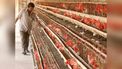 Chicken Prices : చికెన్ కొనడం కష్టమేనా..? ధరలేంటి ఇంతలా పెరిగాయి..!