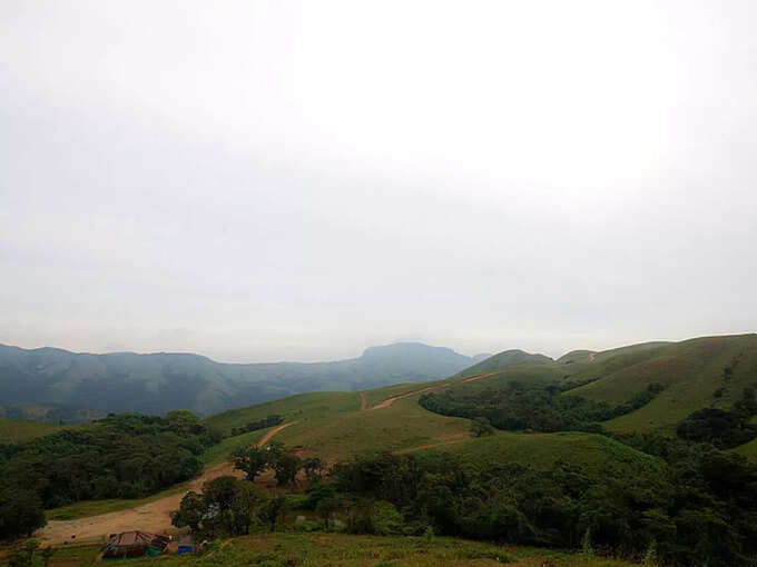 ​ಪುಷ್ಪಗಿರಿ ವನ್ಯಜೀವಿ ಅಭಯಾರಣ್ಯ