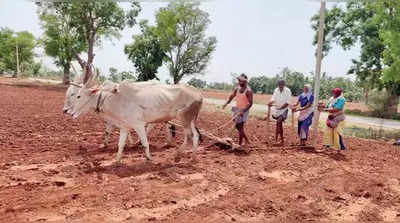 ಮುಂಗಾರಿನ ನಿರೀಕ್ಷೆಯಲ್ಲಿದ್ದವರಿಗೆ ನಿರಾಸೆ; ವರುಣದೇವನ ಕೃಪೆಗಾಗಿ ಕಾಯುತ್ತಿದ್ದಾರೆ ಅನ್ನದಾತರು