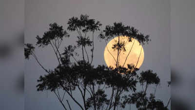 আজ সন্ধ্যায় আকাশে Strawberry Supermoon, বিরল দৃশ্যের সাক্ষী থাকুন