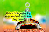 Nature Photography Day: ప్రకృతి ఫొటోలతో ఎంతో మేలు.. కొన్ని నిజాలు