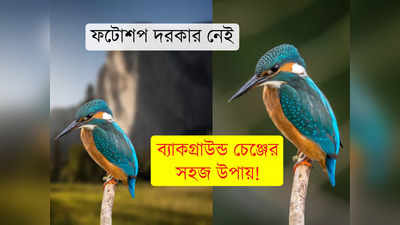 Remove BG: ছবির ব্যাকগ্রাউন্ড অপছন্দ? মুহূর্তে চেঞ্জ করুন এই উপায়ে