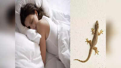 Dream About Lizard: स्वप्नात पाल दिसण्याचाही खास आहे अर्थ,जाणून घ्या