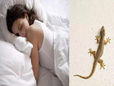 Dream About Lizard: स्वप्नात पाल दिसण्याचाही खास आहे अर्थ,जाणून घ्या